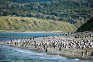 Los Cauquenes Resort | Ushuaia, Tierra del Fuego | Galería de fotos - 5