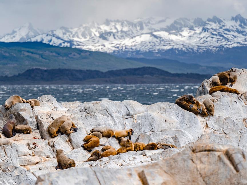 Los Cauquenes Resort | Ushuaia, Tierra del Fuego | 5