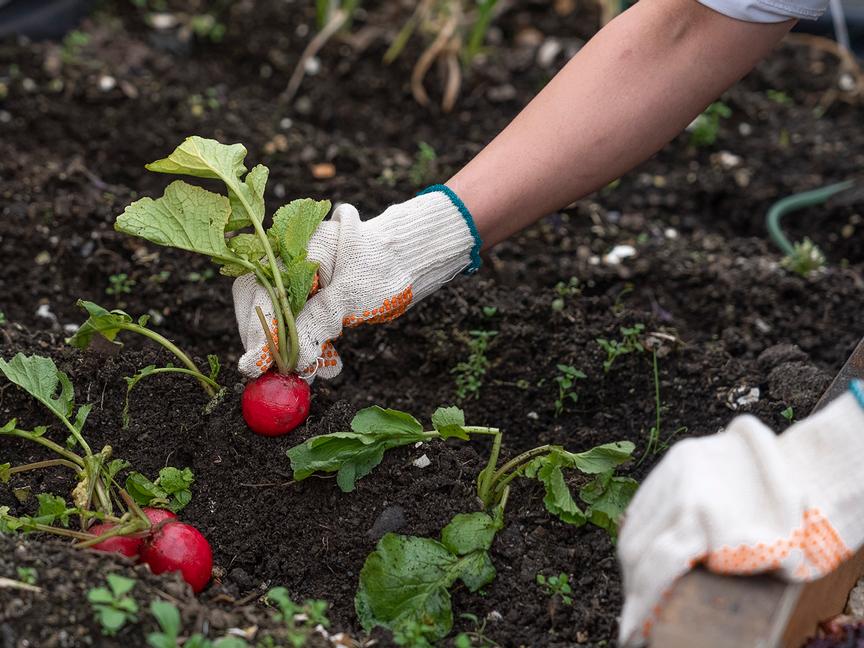 Los Cauquenes Resort | Ushuaia, Tierra del Fuego | 6