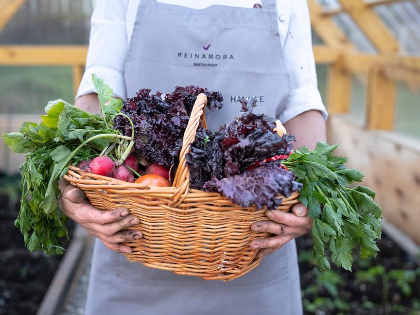 Los Cauquenes Resort | Ushuaia, Tierra del Fuego | 2